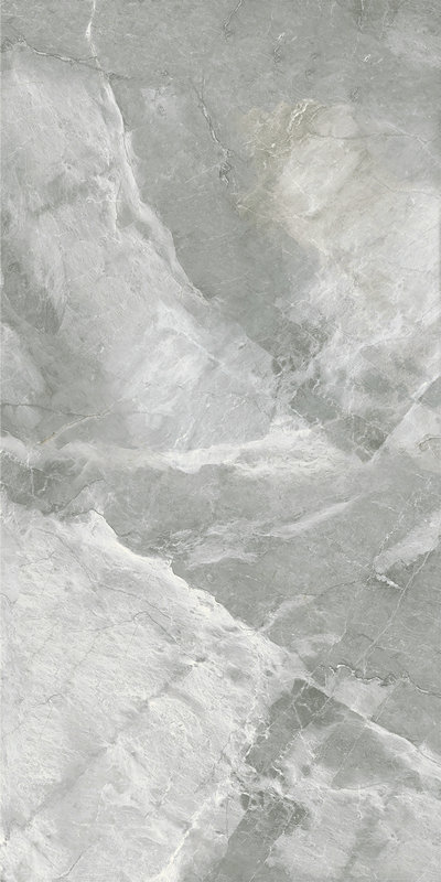 月光银 DLL918121T产品图