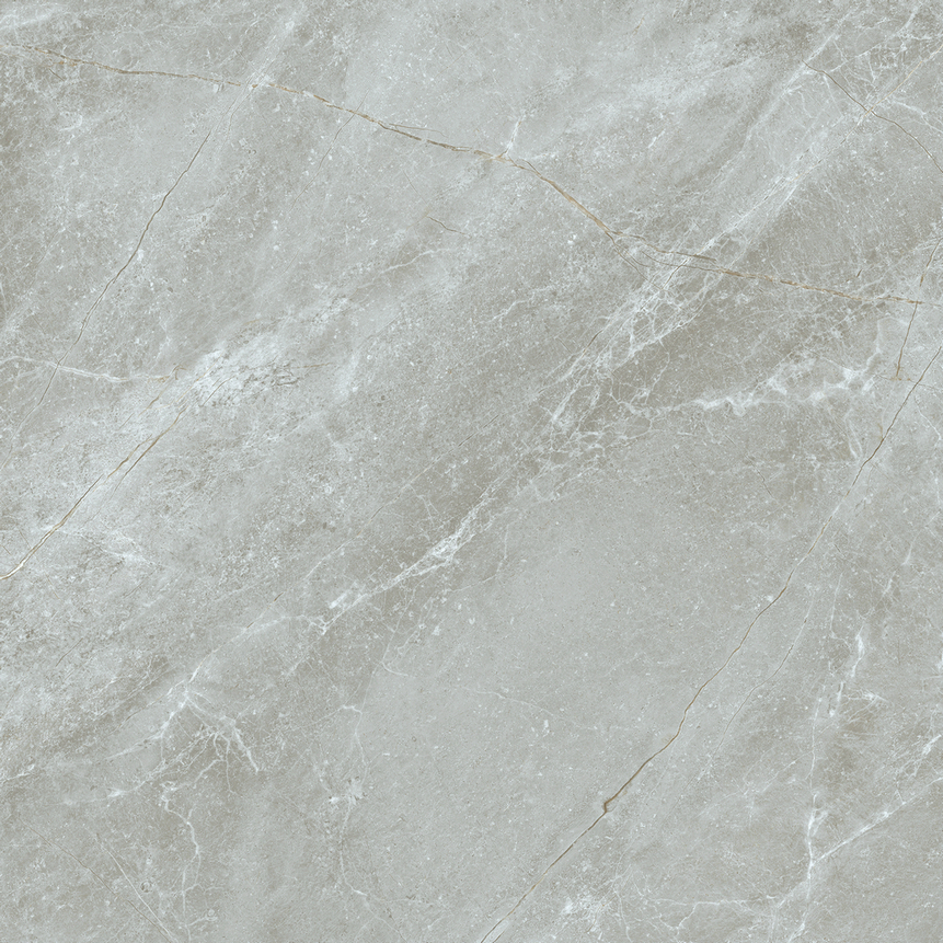 巴特灰 WAP82929B产品图