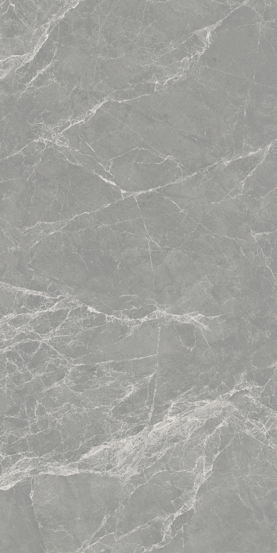 慕尼灰 WAP126905B产品图