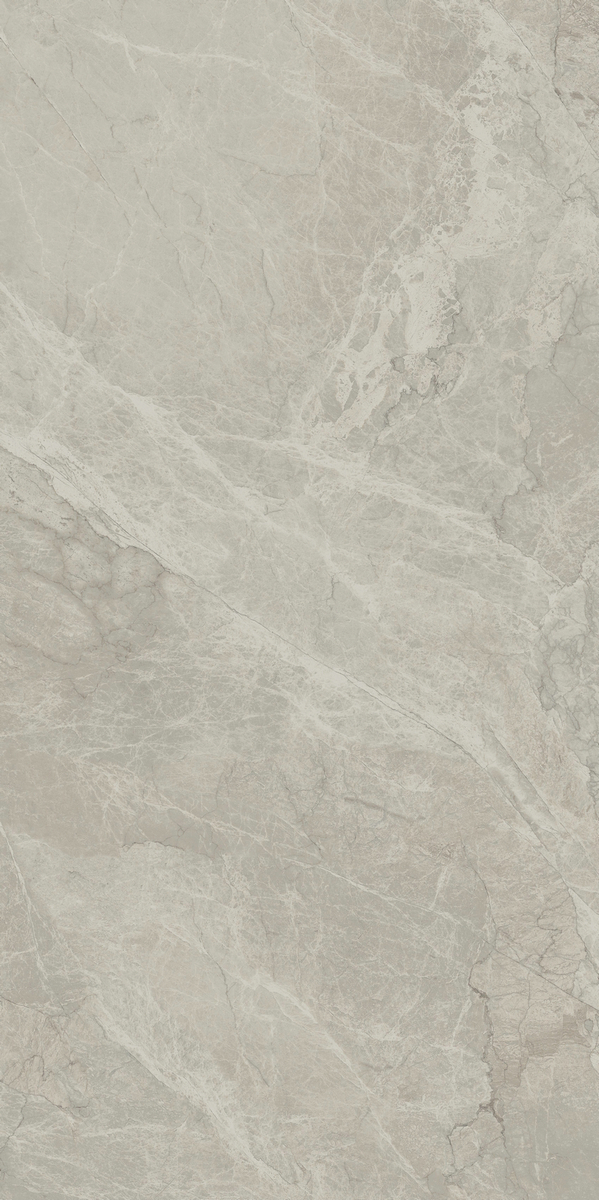 爱马仕灰 DLP918209E产品图