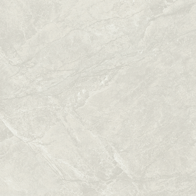 雪山兰 QYB80SJ211产品图