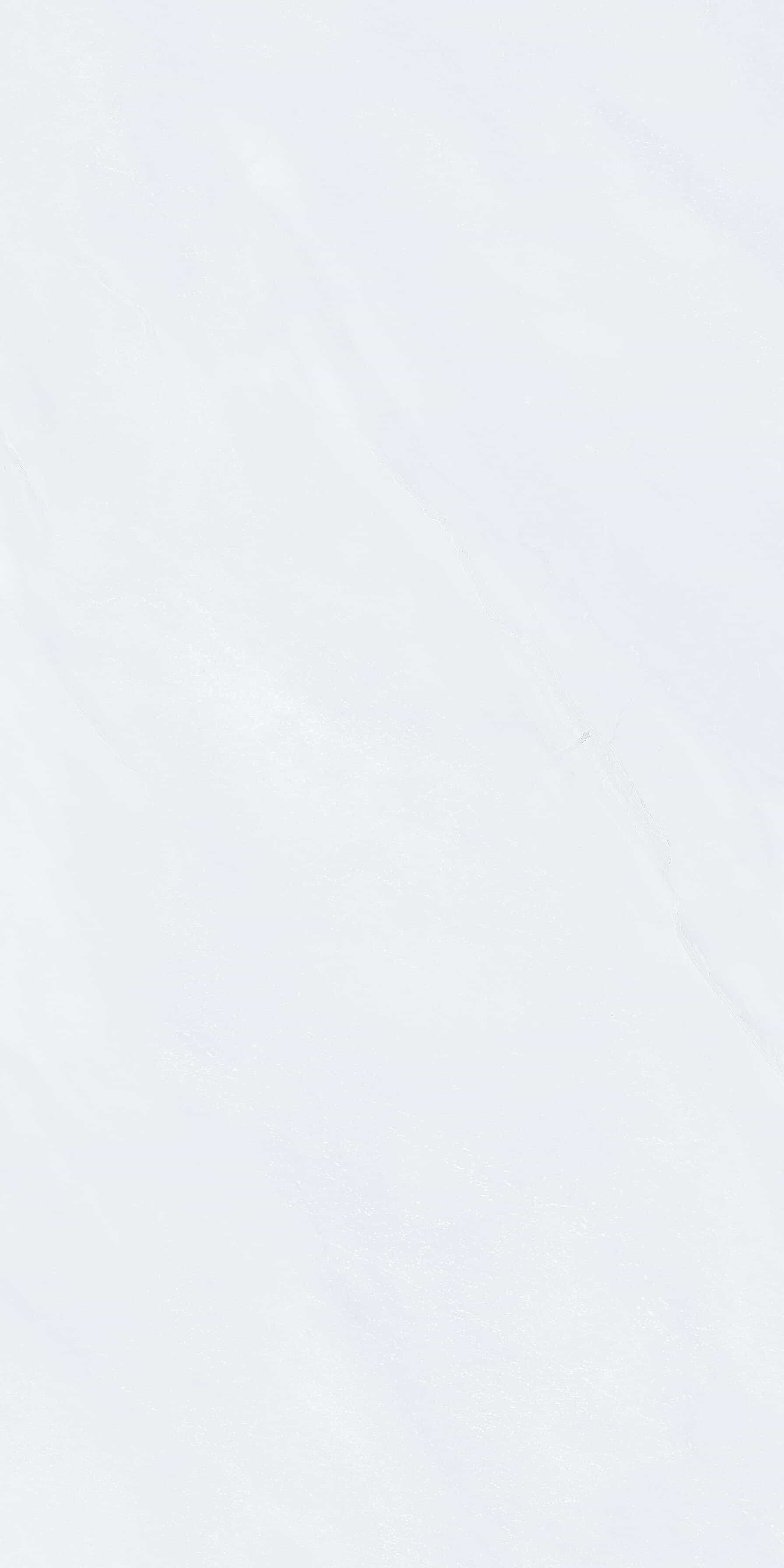 纳斯卡 QY85S206 产品图