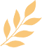 终端风采 | 花季传媒视频播放软件江山旗舰店，以现代设计聚合时尚空间之美(图15)